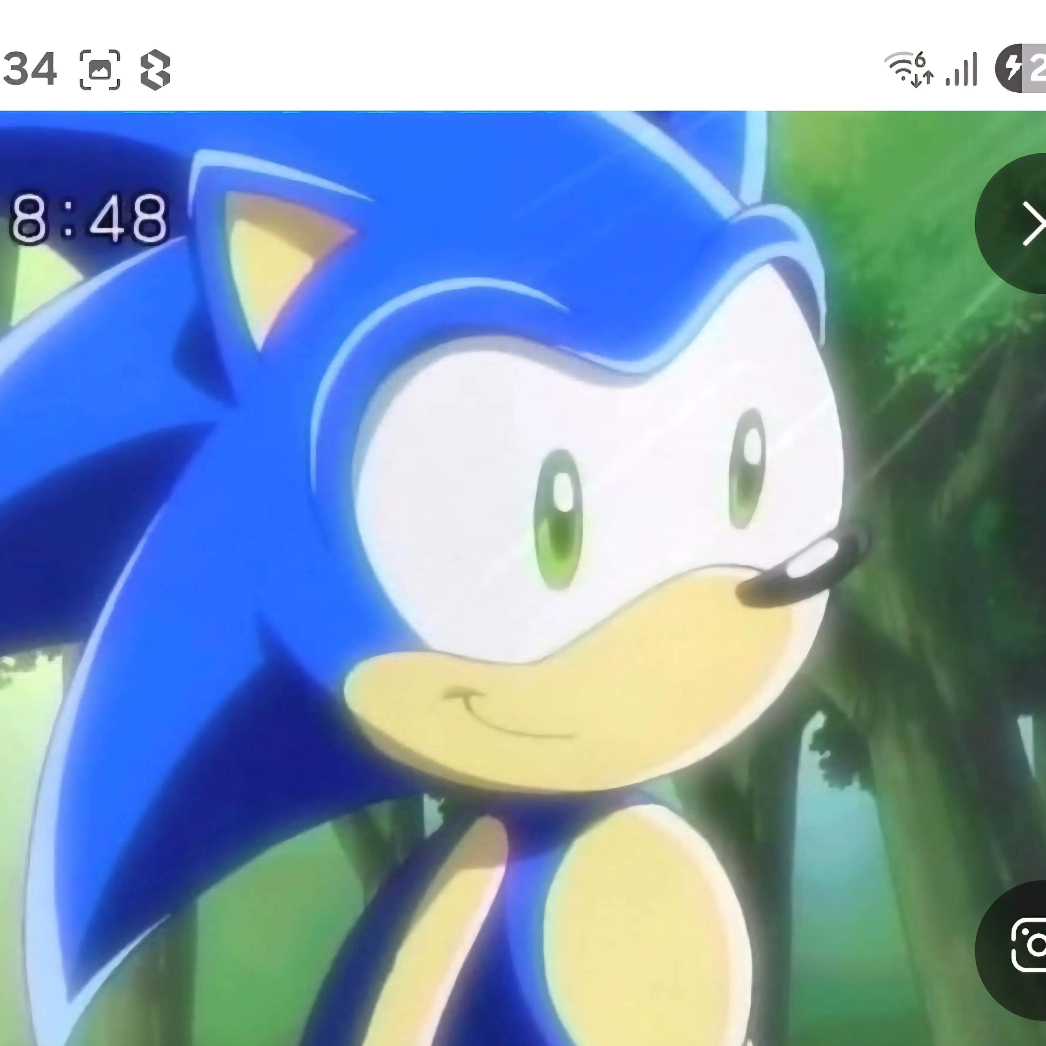 VainSalt7704의 소닉X