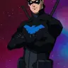 Profile image of Nightwing