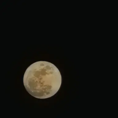 Profile image of 루나리스