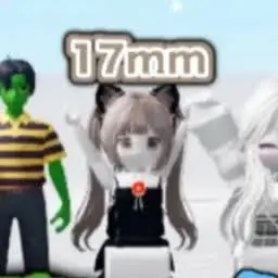 Profile image of 17mm