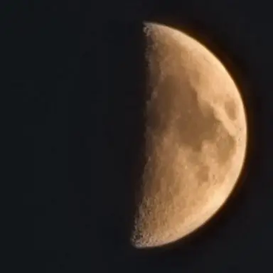 Profile image of 주인장