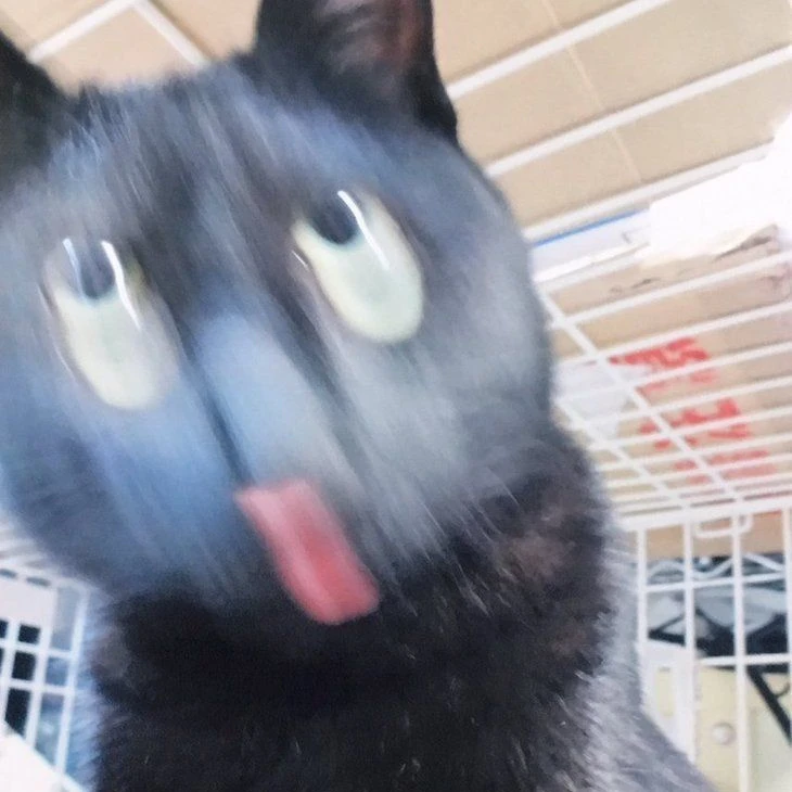 제이
