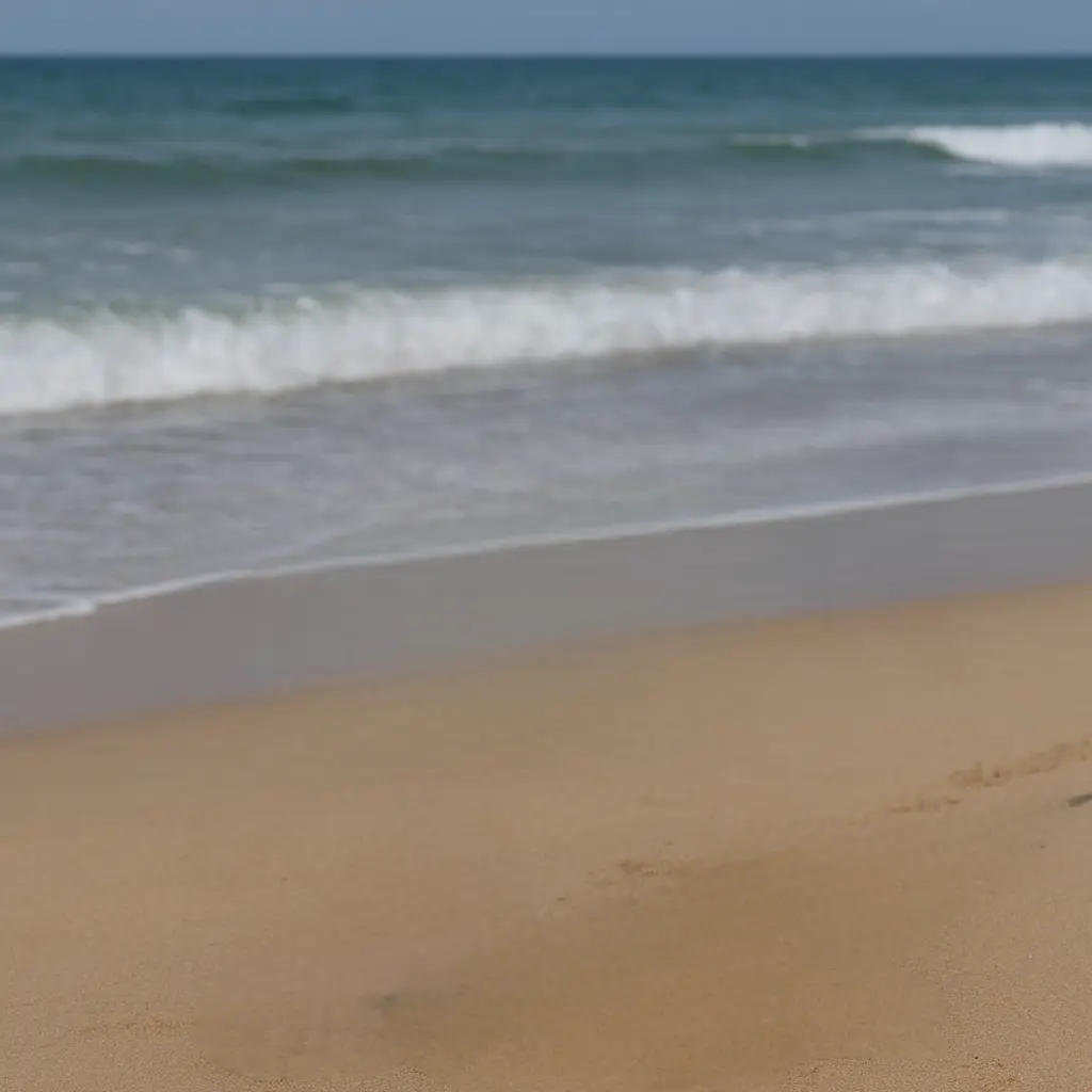 FairHuman3044의 곰소임