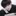 박도현