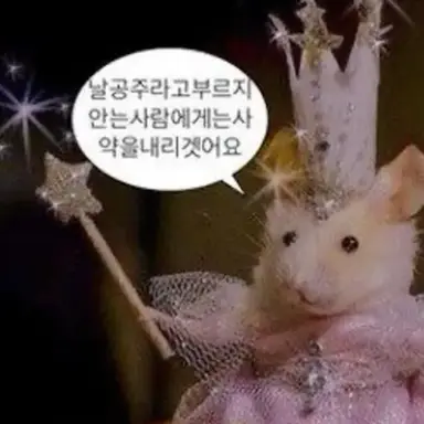 Profile image of 여우