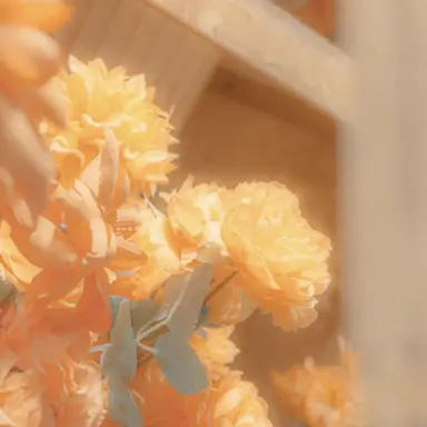 Profile image of 덕개