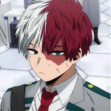 Profile image of Todoroki