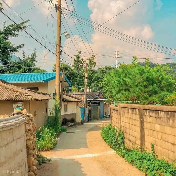 전정국