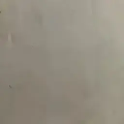 Profile image of 심진우