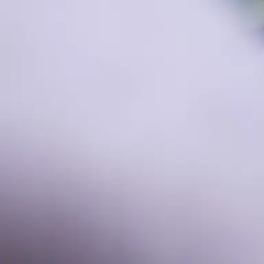 Profile image of 백나른