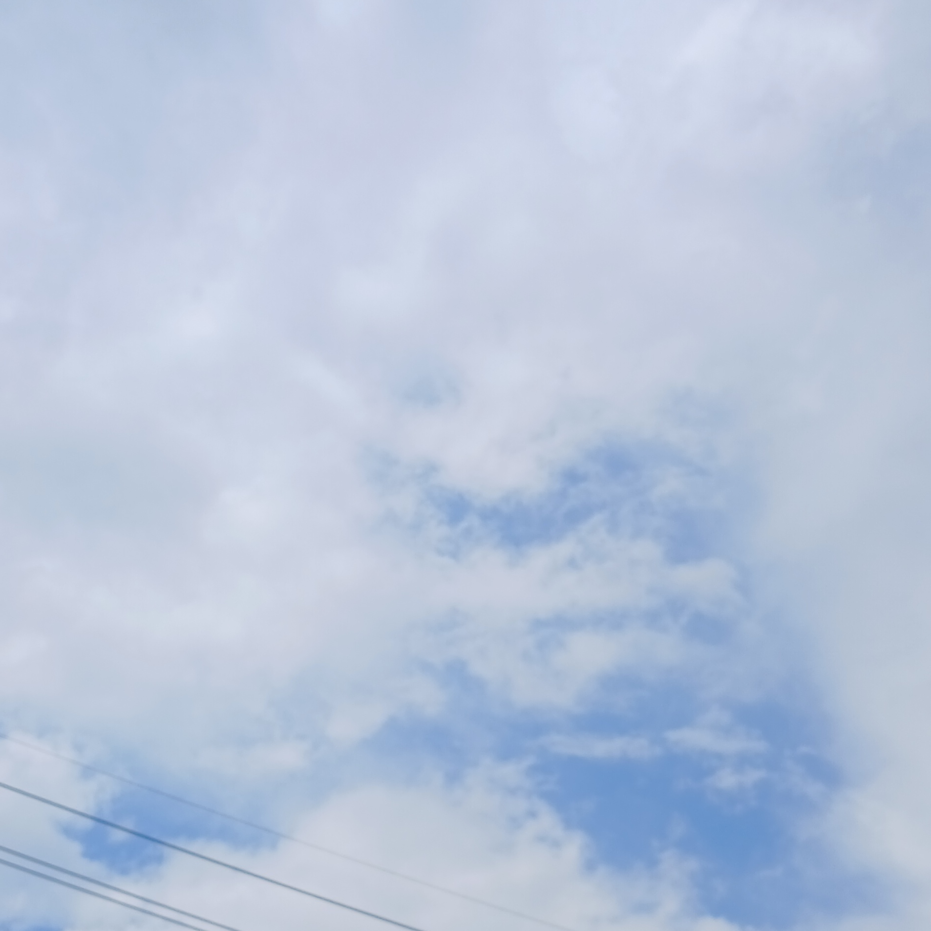 평학(님) 대표 이미지