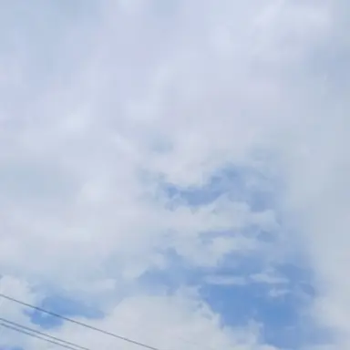 Profile image of 평학