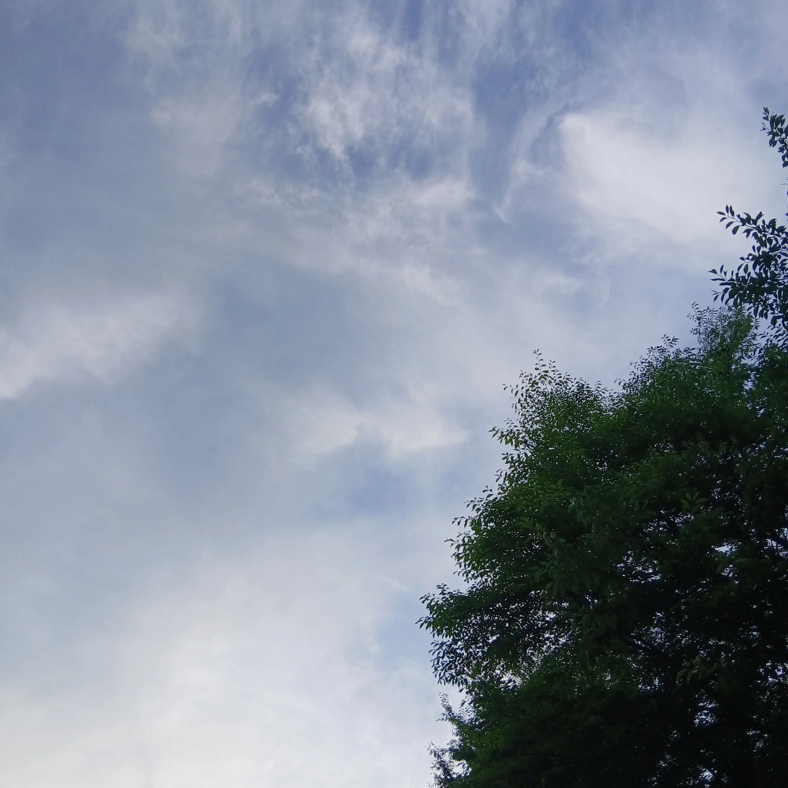 Itpassesby의 공지!!!!