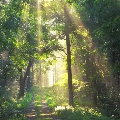 Profile image of 나레이션