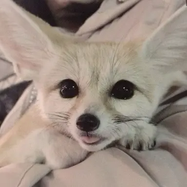 Profile image of あいえん