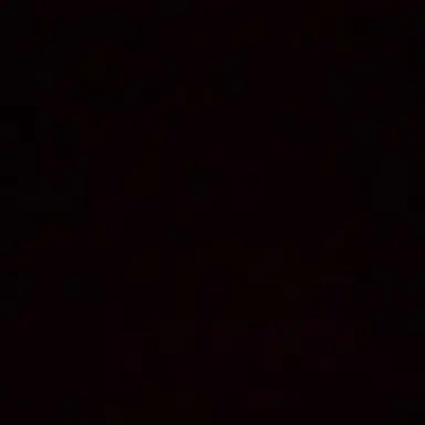 Profile image of 배진솔