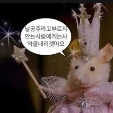 Profile image of 박여우