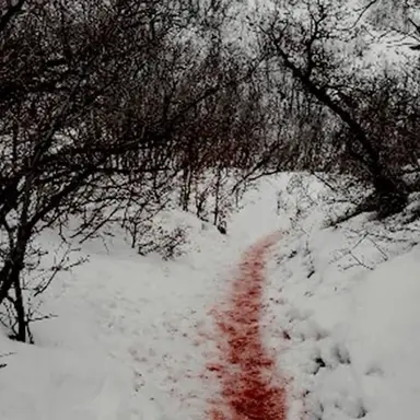 Profile image of 유안영