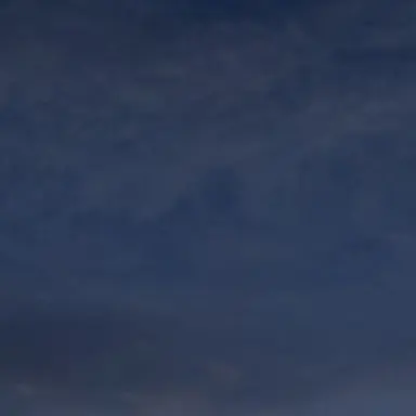 Profile image of 서연