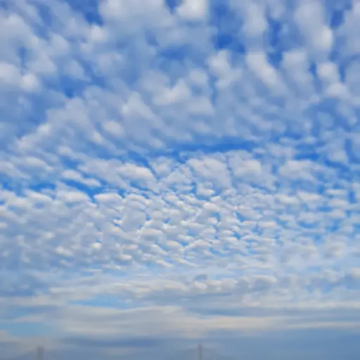 SillyPoem9900의 우리 가족