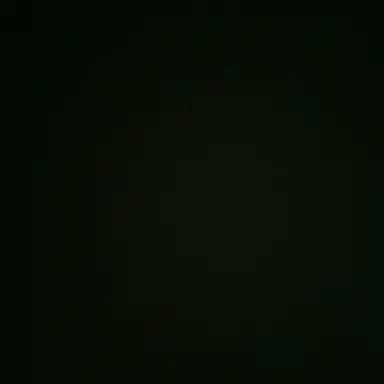 Profile image of 김여우