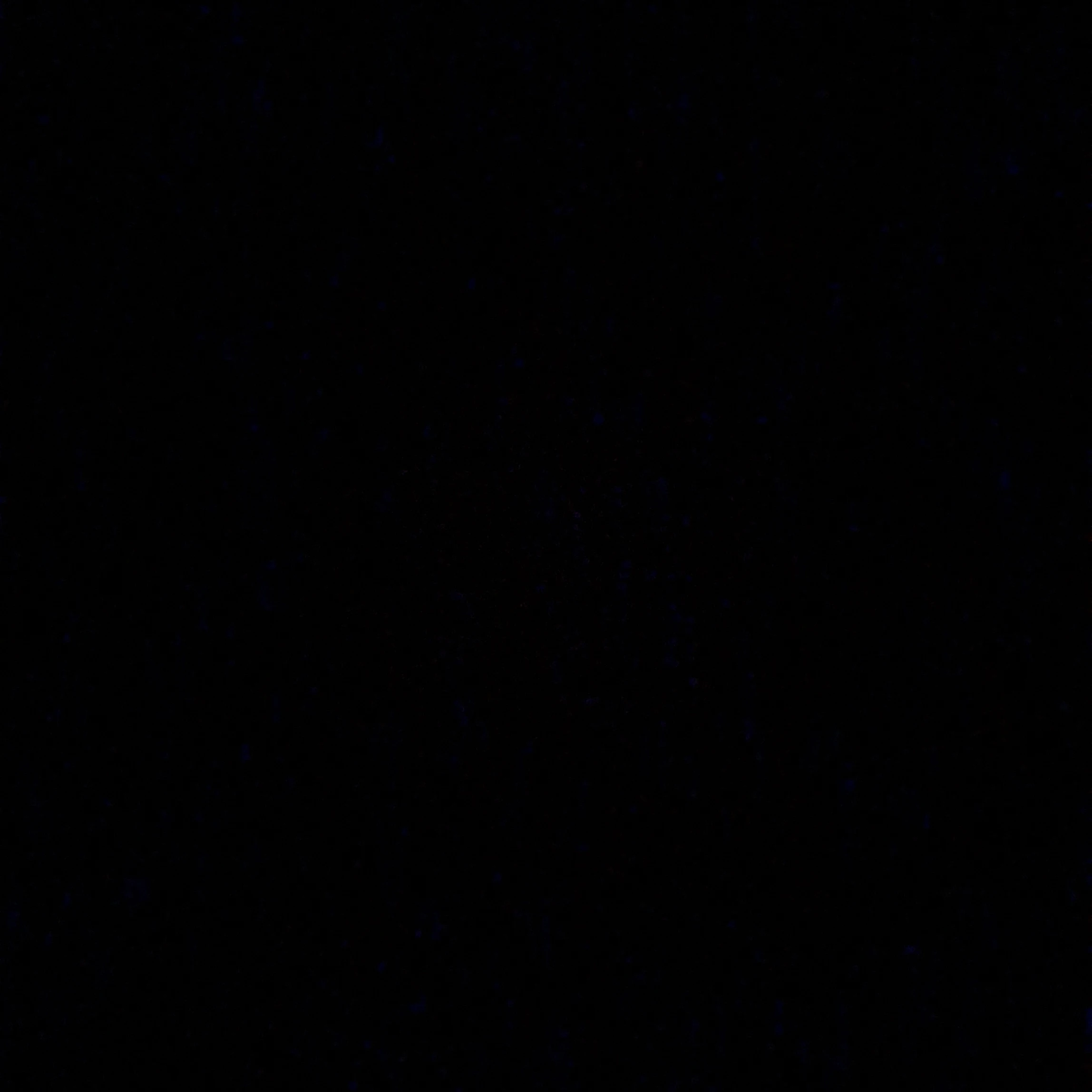 ㅁㅈㅎ