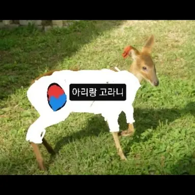 Profile image of 고라니