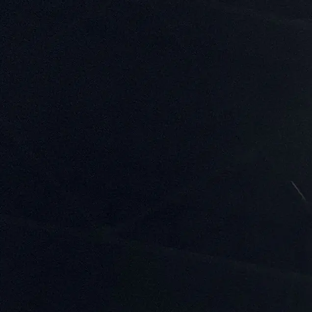 PoeticTrout5783의 Dawn with the Emperor