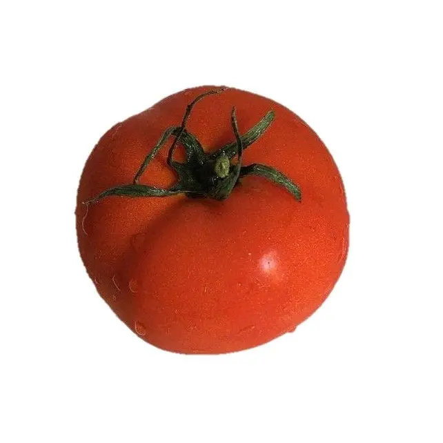 hi_ugh.12의 톰툐즈🍅