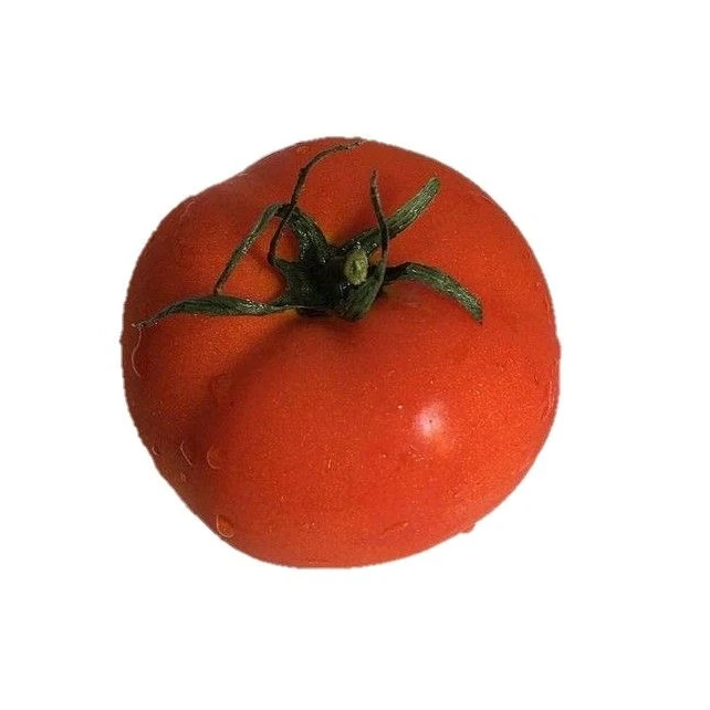 톰툐즈🍅
