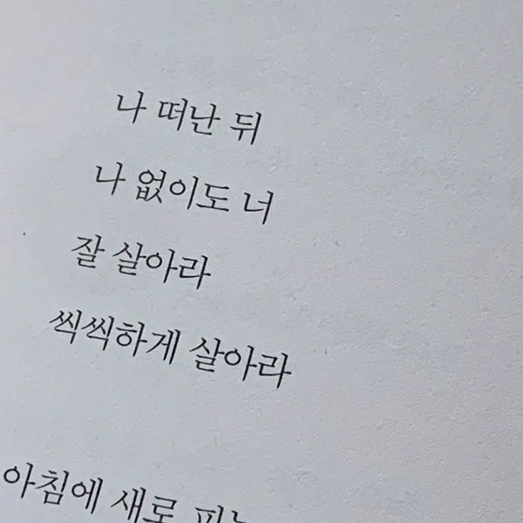 LongReef0279의 선배