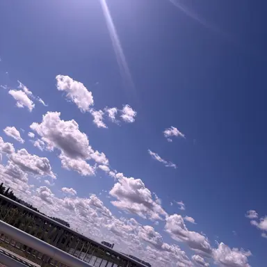 Profile image of 수정