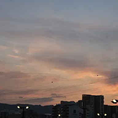 Profile image of 슬기