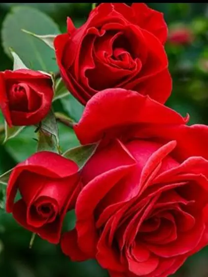 MGA.Love1414의 時間がたてば忘れる