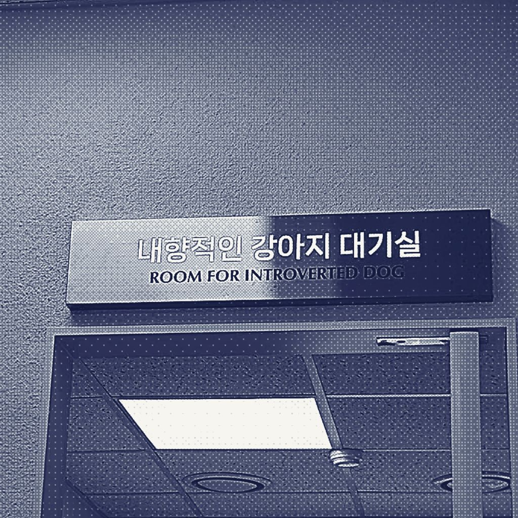 ㅤ 대표 이미지