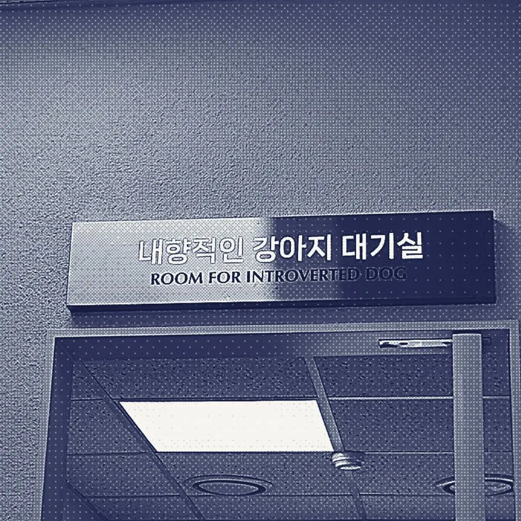 merrr의 ㅤ