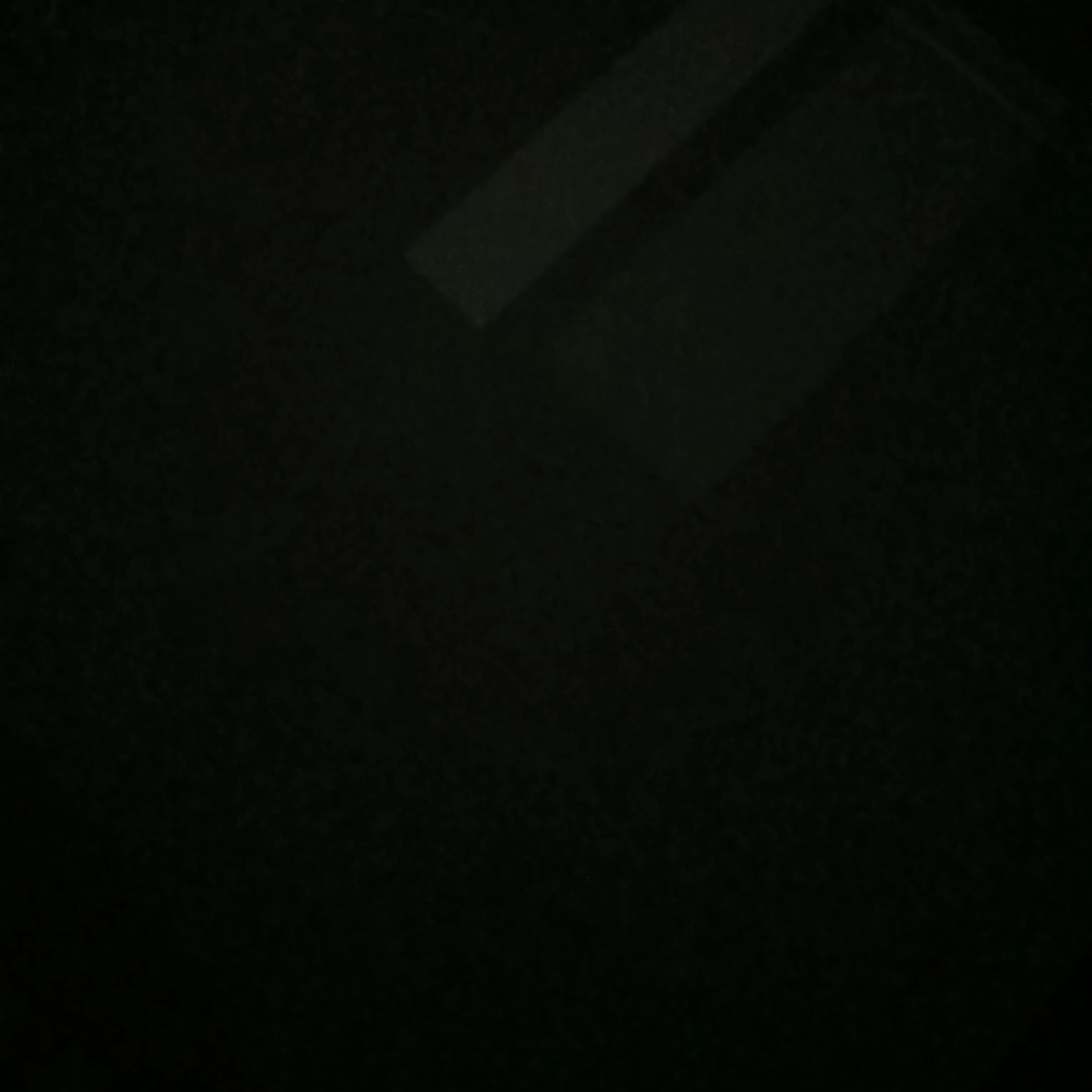 EggyFrond2382의 {{user}}? 저희 연구소장님이죠