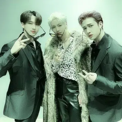 SneakyBench7200의 straykids gc