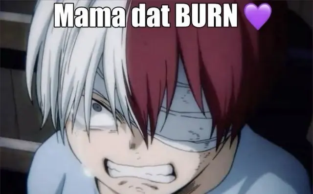 Profile image of Shoto Todoroki