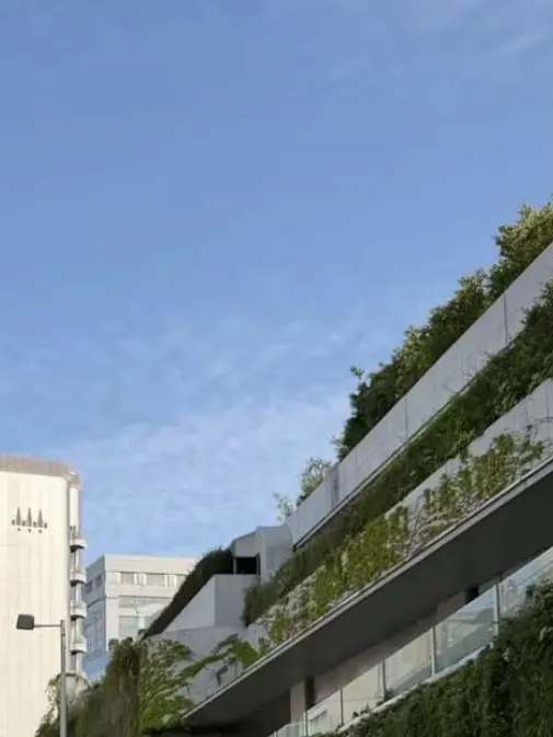 NuttyToe5469의 てんやわんやの家族