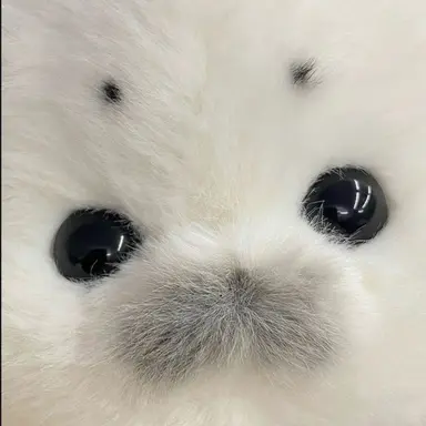 Profile image of 志摩一未