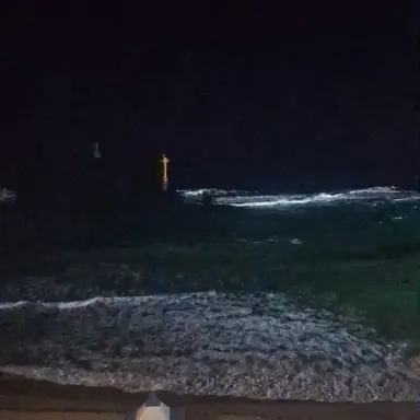 Profile image of 시나즈가와 사네미