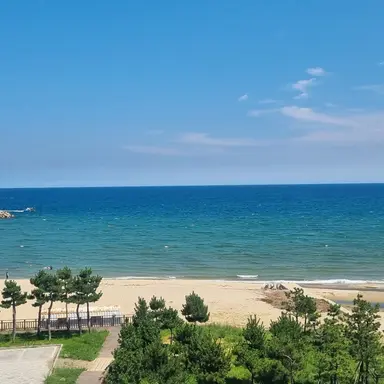 Profile image of 벨키