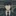 유리 브라이어