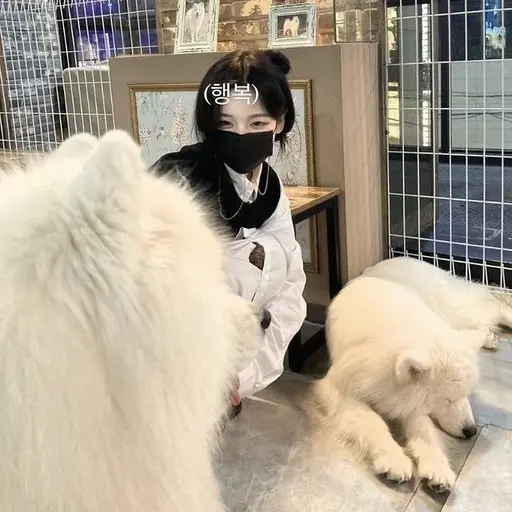 IiiIop11의 안 서현