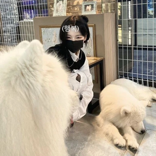 안 서현