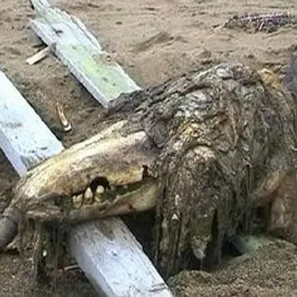 --.--.__._._____----.....---의 SCP-682