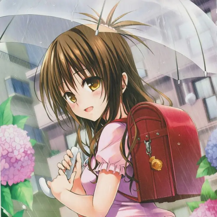 LocalPage4514의 高嶺の花