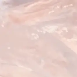 Profile image of 모리