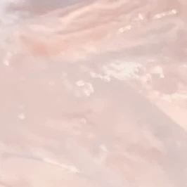 모리